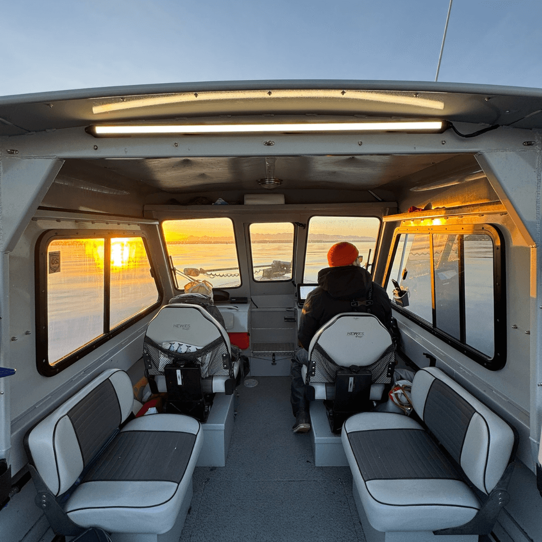 Rebel UTV Ultimate Lighting Kit